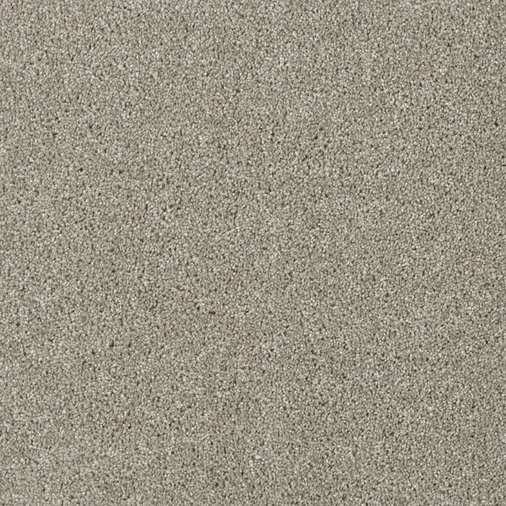 Dreamweaver Carpet Acclaim Jet Stream Carpet 1324_200