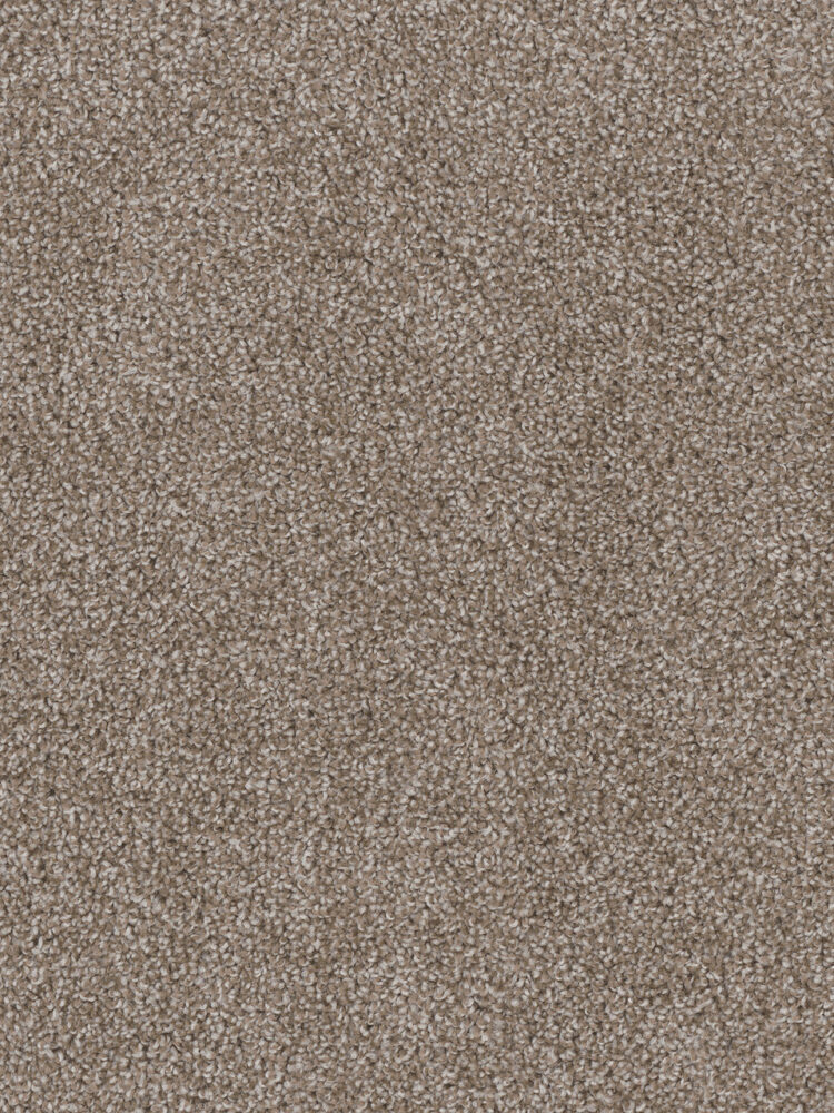 Dreamweaver Carpet Cedar Creek Harbor Carpet 2030_792