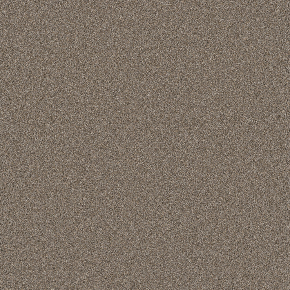Dreamweaver Carpet Cosmopolitan II Ash Carpet 8550_945