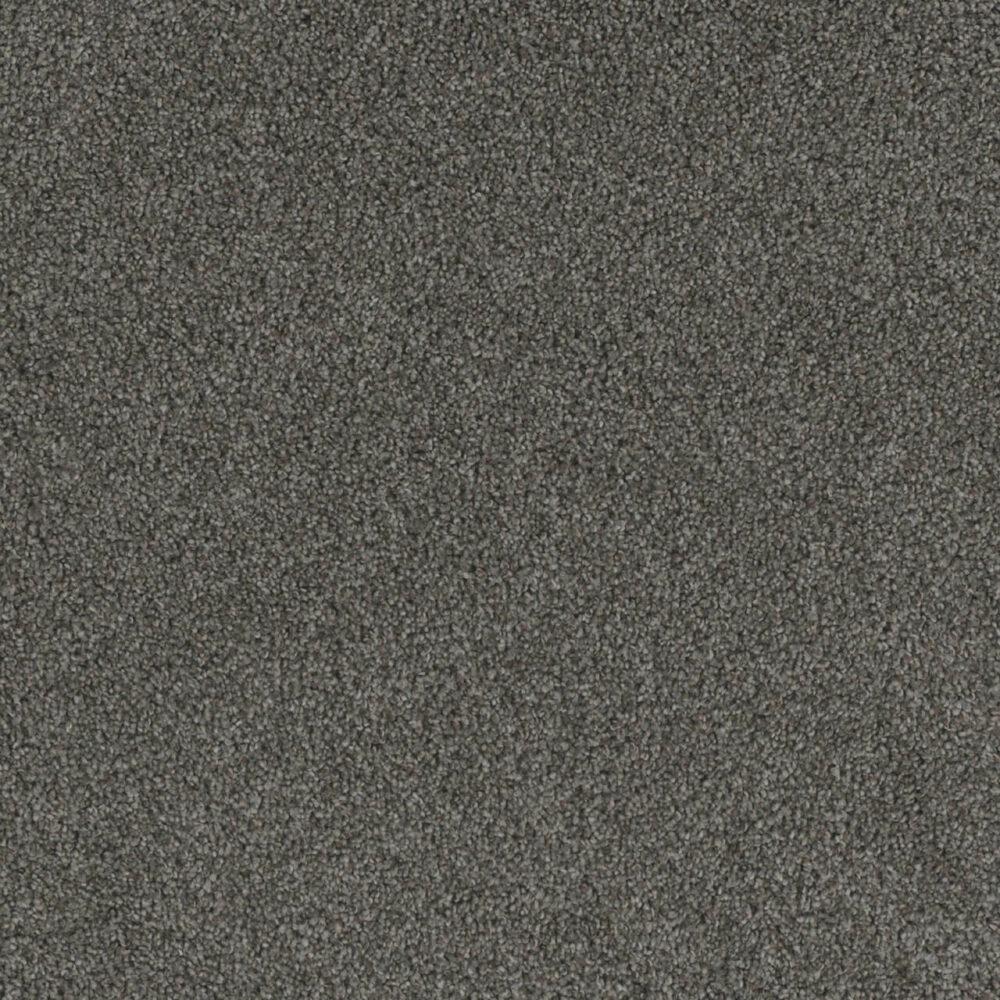 Dreamweaver Carpet Crown Garden III Naval Carpet 2370_3044