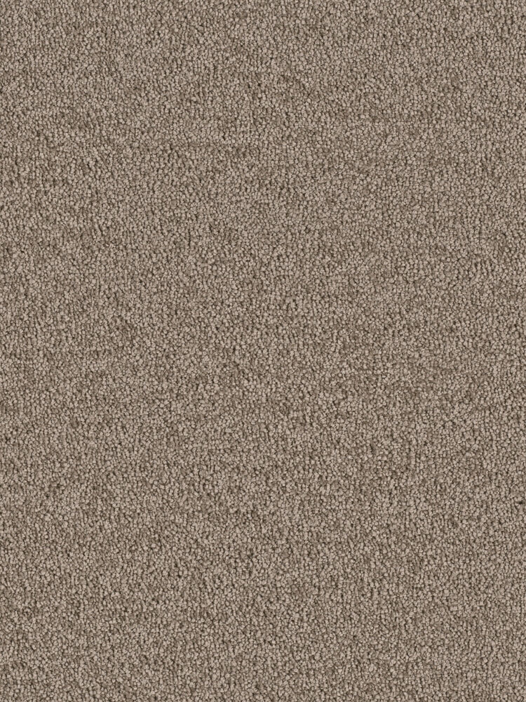 Dreamweaver Carpet East Hampton Cocoa Carpet 2550_550