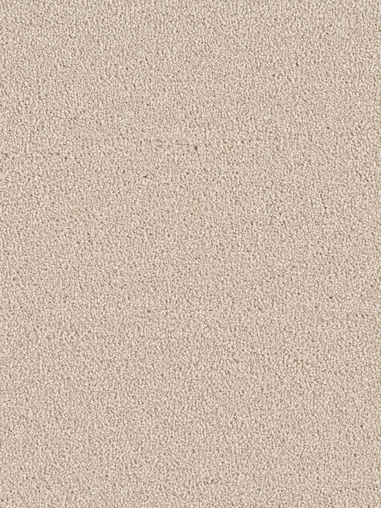 Dreamweaver Carpet East Hampton Ivory Carpet 2550_730