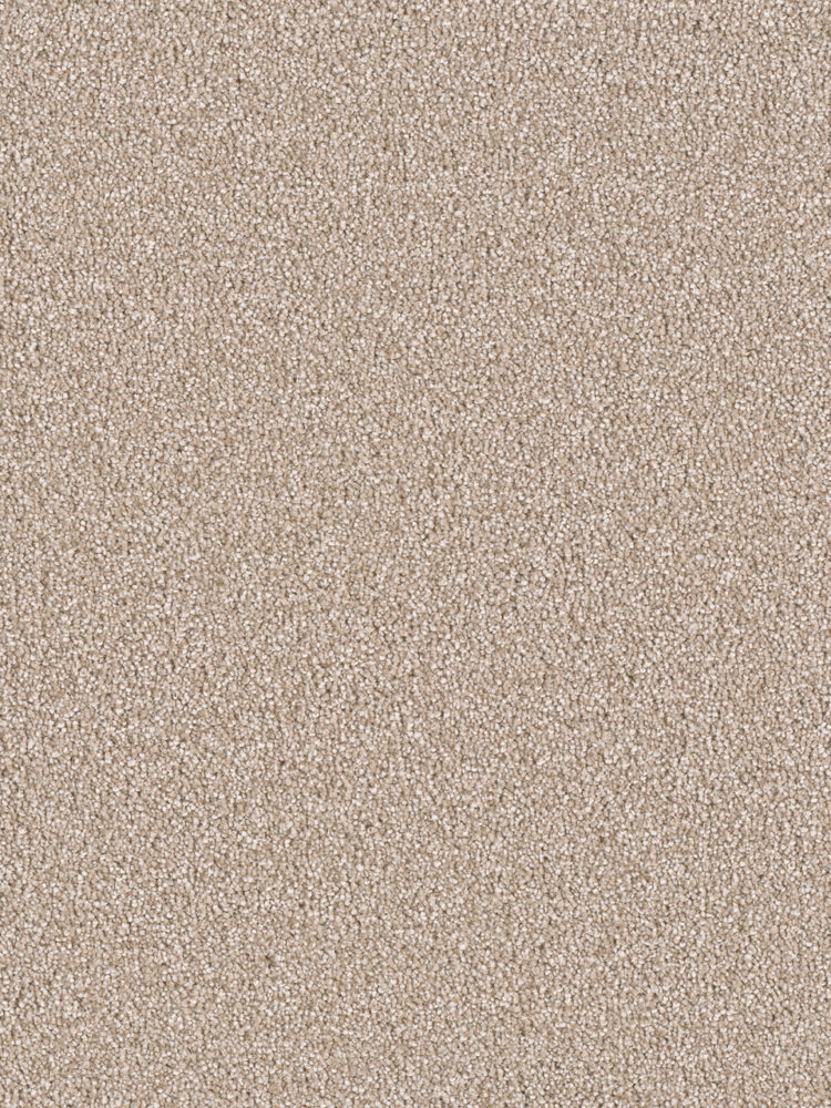 Dreamweaver Carpet East Hampton Sawgrass Carpet 2550_701