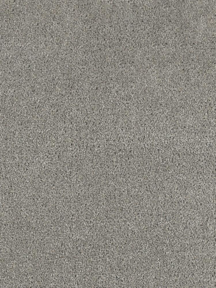 Dreamweaver Carpet Hollywood Embers Carpet 8232_933