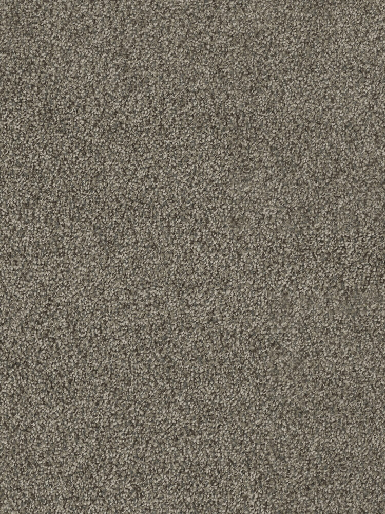 Dreamweaver Carpet Hollywood Smoky Quartz Carpet 8232_418