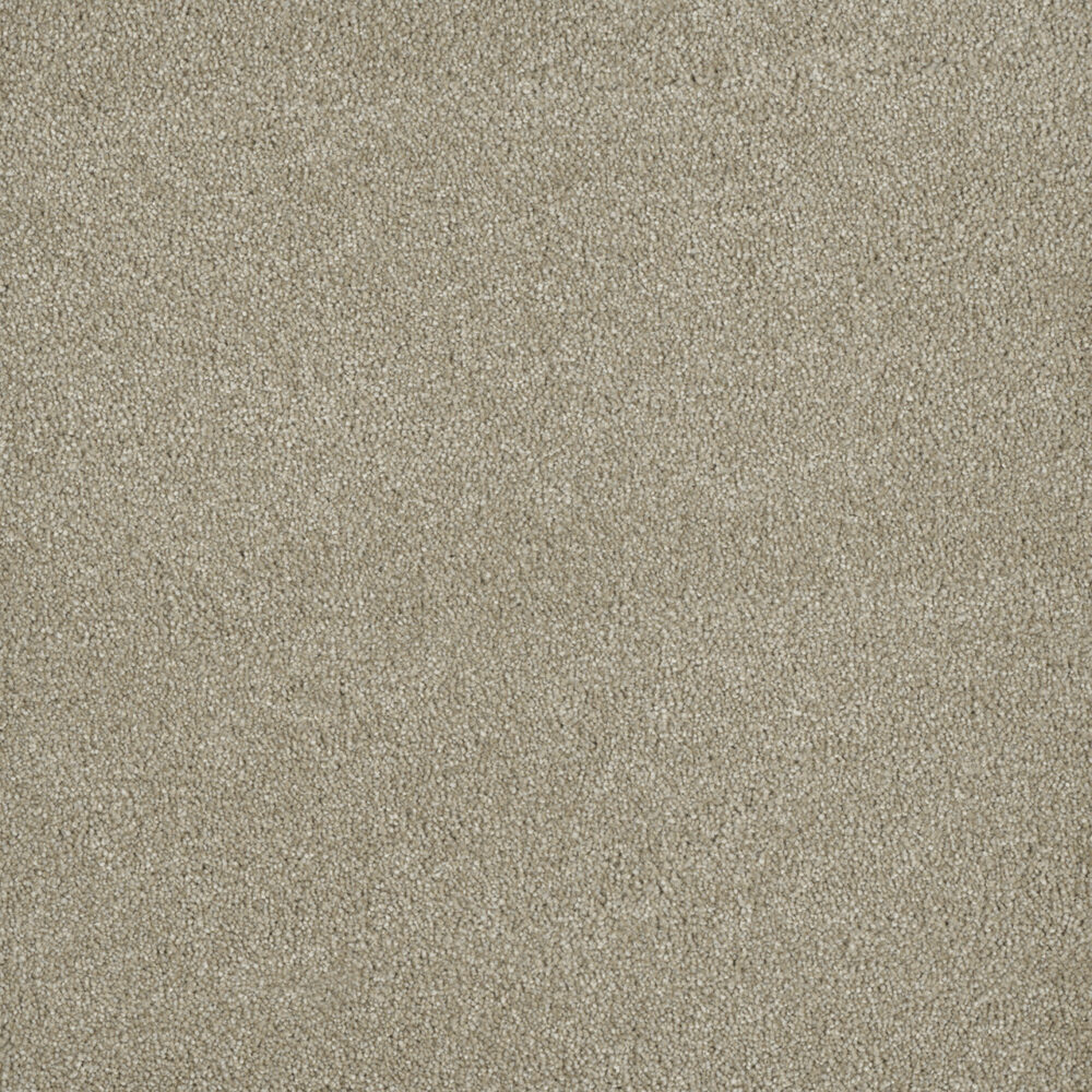 Dreamweaver Carpet Malibu III Oak Barrel Carpet 3760_430