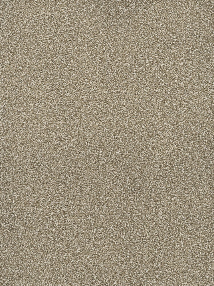 Dreamweaver Carpet Montauk Quail Carpet 2560_725