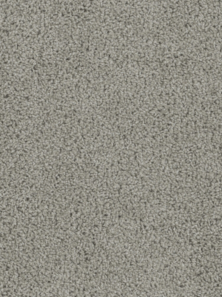 Dreamweaver Carpet Sp250 Chrome Carpet SP250_927