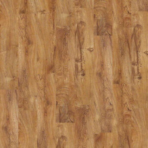 Shaw - 0225V Sumter Plus - Tropic