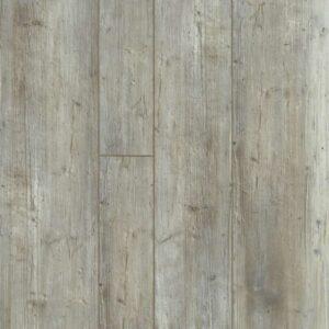 Shaw - 1021V Paragon Mix Plus - Distinct Pine