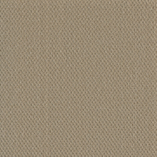 Dreamweaver Carpet Moon Bay Soft Pine Carpet 1228_6317