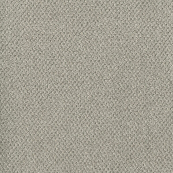 Dreamweaver Carpet Moon Bay Snow Cap Carpet 1228_6319