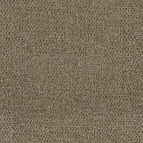 Dreamweaver Carpet Moon Bay Deer Path Carpet 1228_6564