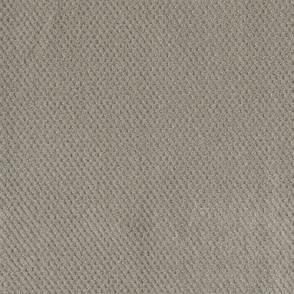 Dreamweaver Carpet Moon Bay Arrowhead Carpet 1228_6827