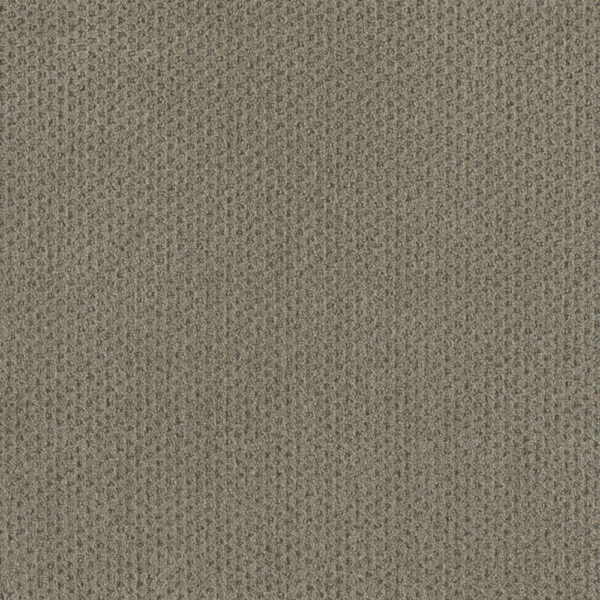 Dreamweaver Carpet Moon Bay Timber Ridge Carpet 1228_6841