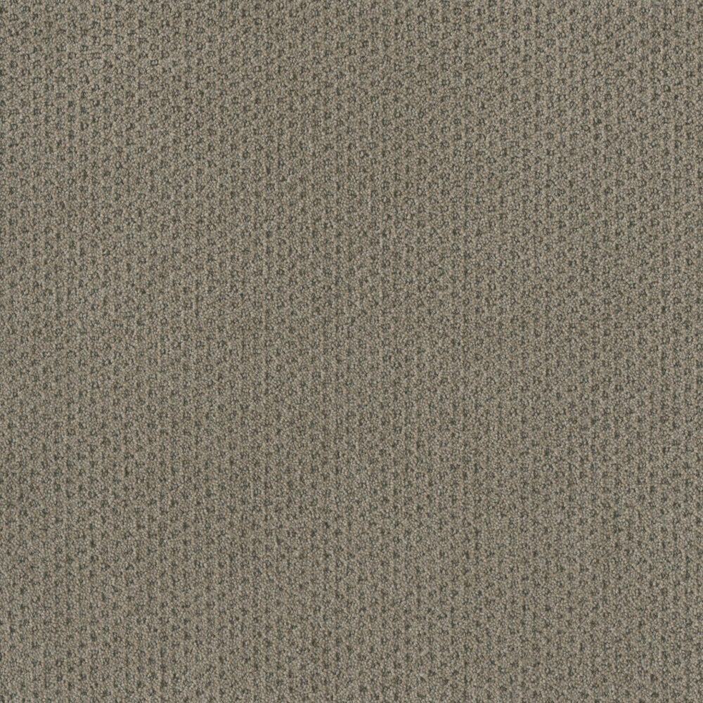 Dreamweaver Carpet Moon Bay Timber Ridge Carpet 1228_6841