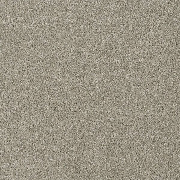Dreamweaver Carpet Acclaim Jet Stream Carpet 1324_200