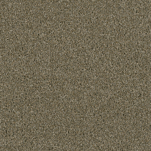 Dreamweaver Carpet Acclaim Cinnamon Tea Carpet 1324_528