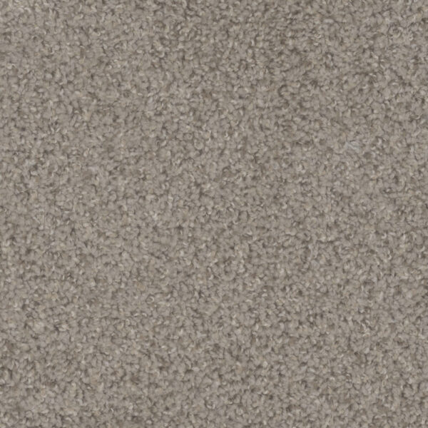 Dreamweaver Carpet Step Up Almond Carpet 1420_782