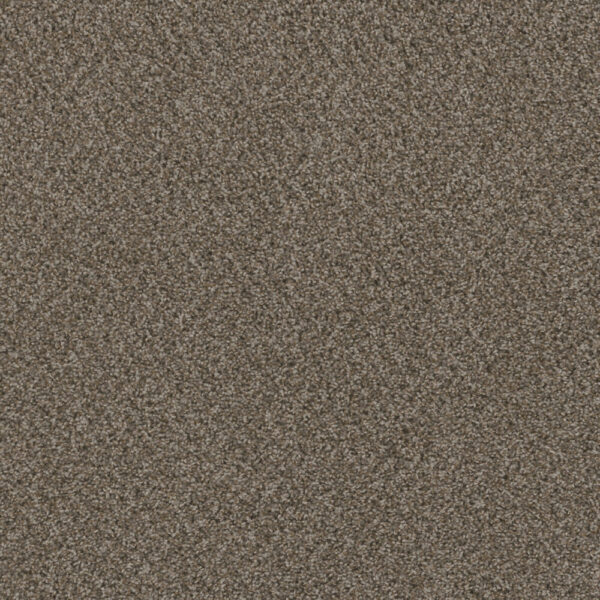 Dreamweaver Carpet Hot Pursuit Desert Jasper Carpet 1424_339