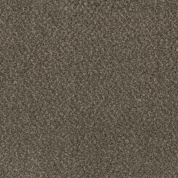 Dreamweaver Carpet Hot Pursuit ironside Carpet 1424_783
