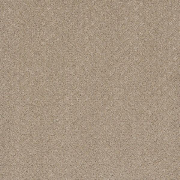 Dreamweaver Carpet Capri Soft Pine Carpet 1428_6317