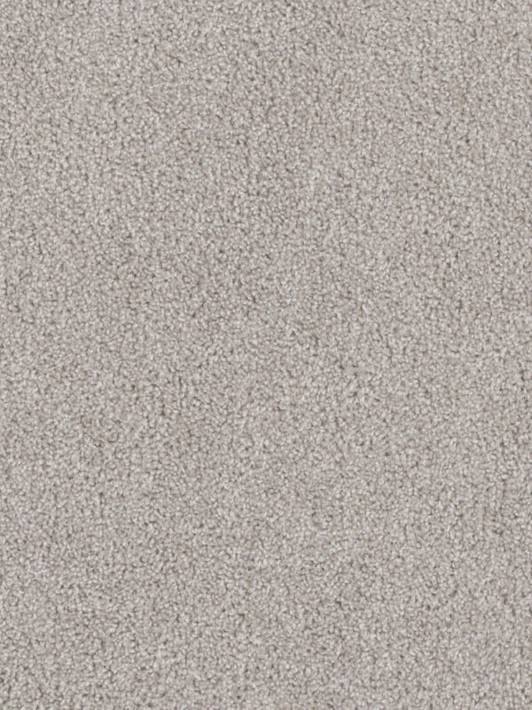 Dreamweaver Carpet Cedar Creek Clam Shell Carpet 2030_182