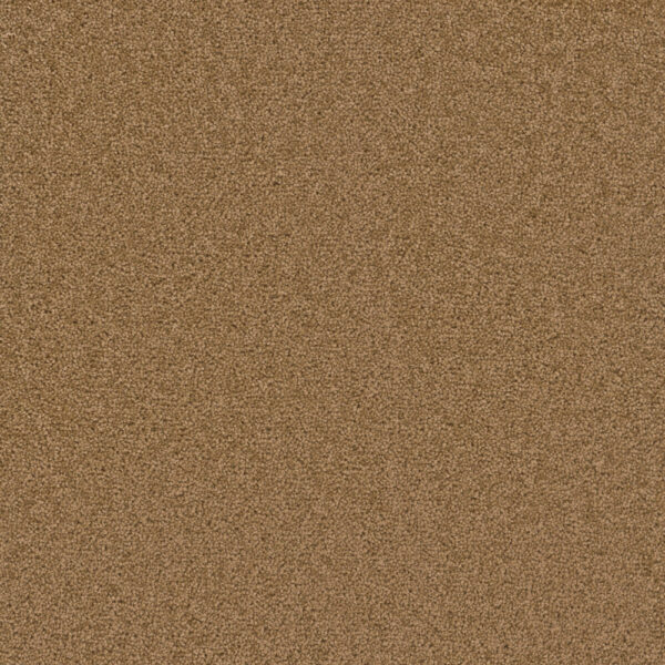 Dreamweaver Carpet Cedar Creek Honey Beige Carpet 2030_510
