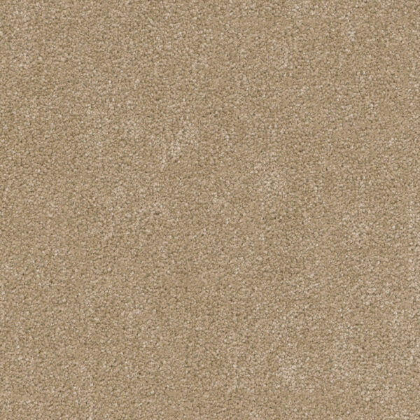 Dreamweaver Carpet Cedar Creek Buff Carpet 2030_720