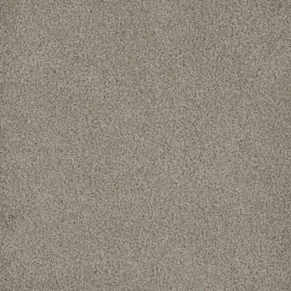 Dreamweaver Carpet Hammond Creek II Cameo Carpet 2045_174