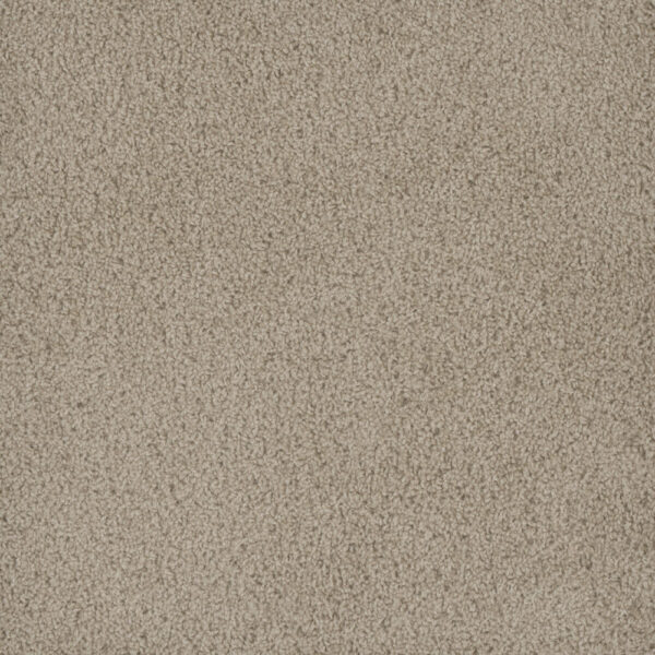 Dreamweaver Carpet Hammond Creek II Oak Bay Carpet 2045_349