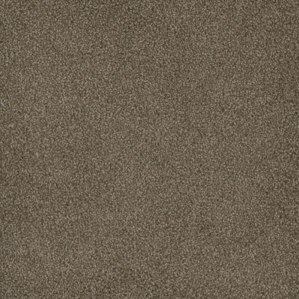 Dreamweaver Carpet Hammond Creek I Dove Carpet 2032_725