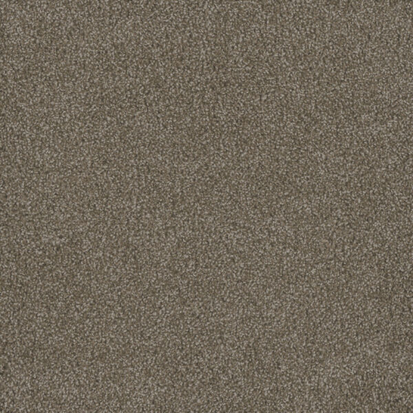 Dreamweaver Carpet Hammond Creek I Harber Carpet 2032_792