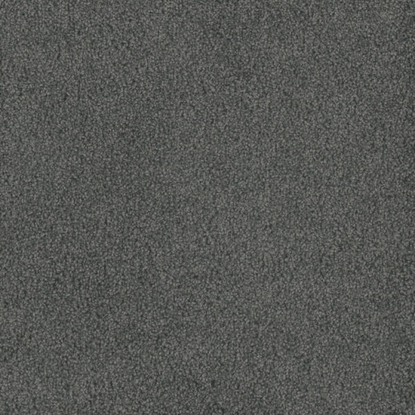 Dreamweaver Carpet Hammond Creek I Onyx Waves Carpet 2032_890