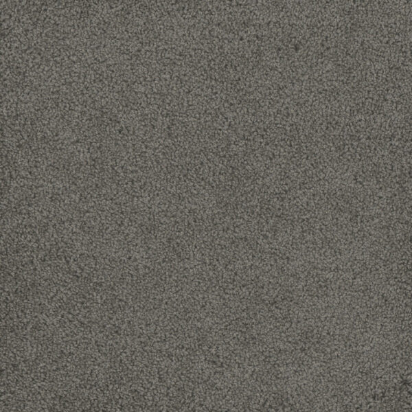 Dreamweaver Carpet Hammond Creek I Bayside Carpet 2032_956