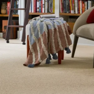 Karastan Imbue Wool Carpet