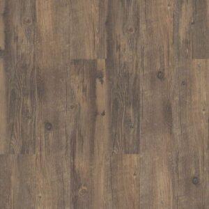 Shaw - 2426V Classico Plus - Antico