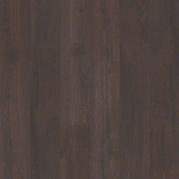 Shaw - 2426V Classico Plus - Marrone