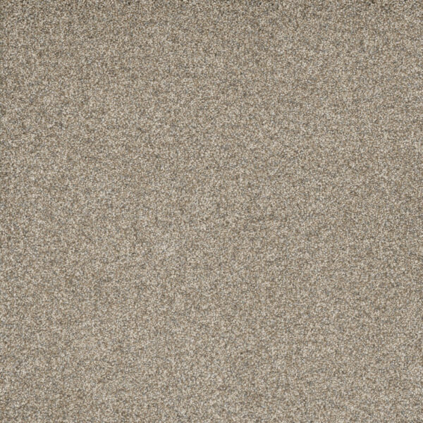 Dreamweaver Carpet Astounding III Dreamcatcher Carpet 2565_233