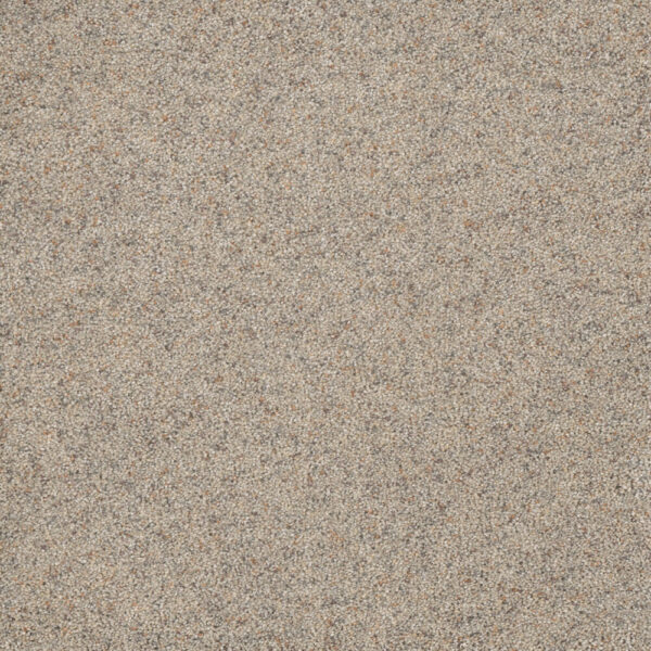 Dreamweaver Carpet Astounding III Fine Details Carpet 2565_259