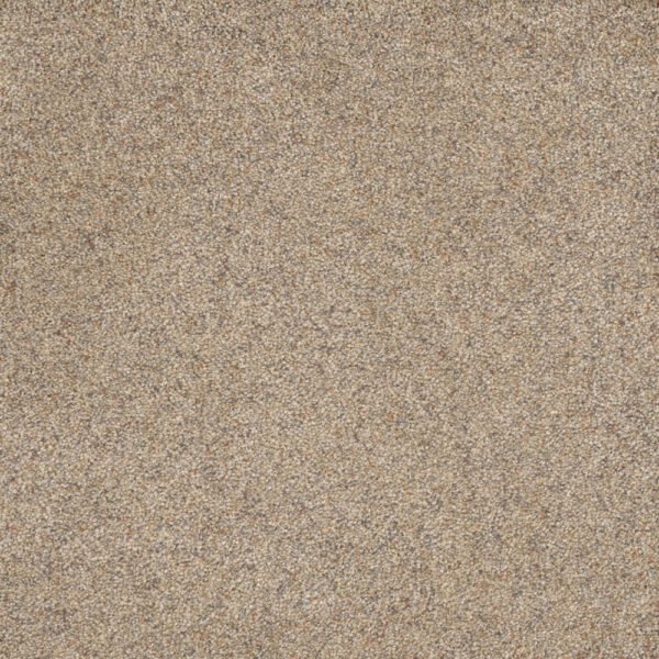 Dreamweaver Carpet Astounding III Morning Dew Carpet 2565_508