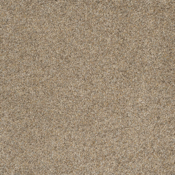 Dreamweaver Carpet Astounding II Amberwood Carpet 2545_529