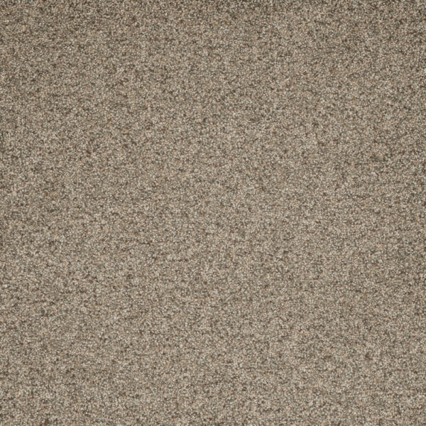Dreamweaver Carpet Astounding III Wishing Well Carpet 2565_794