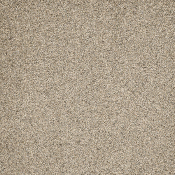 Dreamweaver Carpet Astounding III Pacific Breeze Carpet 2565_873