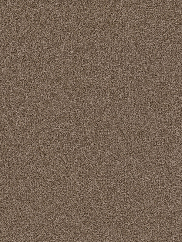 Dreamweaver Carpet Cape Cod Cocoa Carpet 2540_550