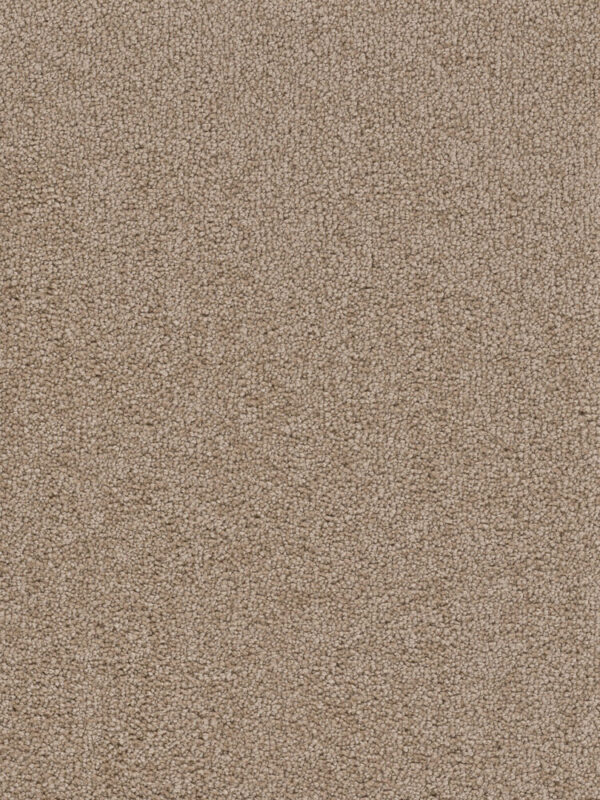 Dreamweaver Carpet Cape Cod Mushroom Carpet 2540_715