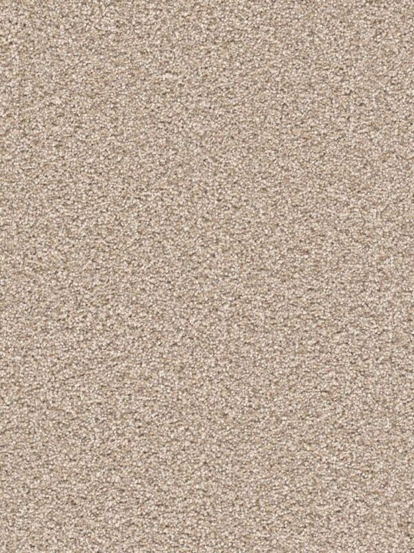 Dreamweaver Carpet Cape Cod Oxford Carpet 2540_720