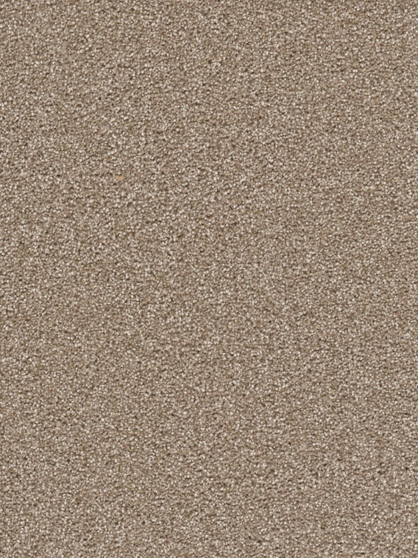 Dreamweaver Carpet Cape Cod Quail Carpet 2540_725