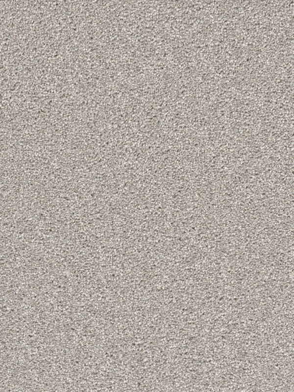 Dreamweaver Carpet Cape Cod Dove Carpet 2540_800