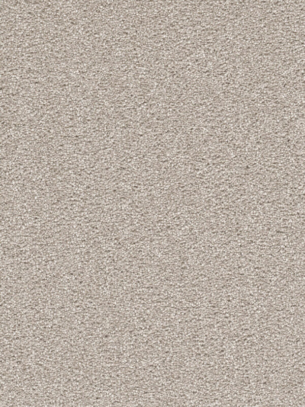 Dreamweaver Carpet Cape Cod Silver Lining Carpet 2540_830